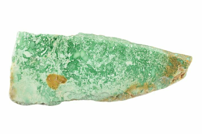 Polished Variscite Section - Australia #239900